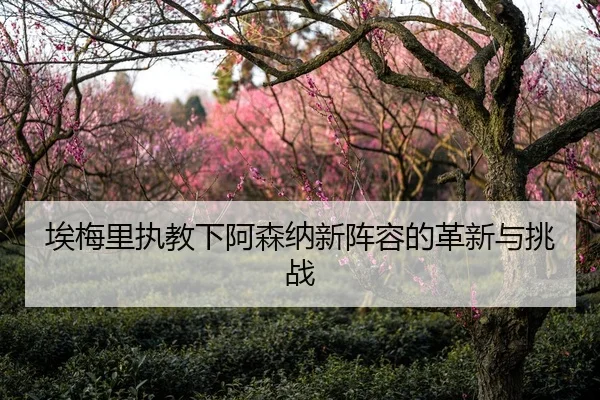 埃梅里执教下阿森纳新阵容的革新与挑战